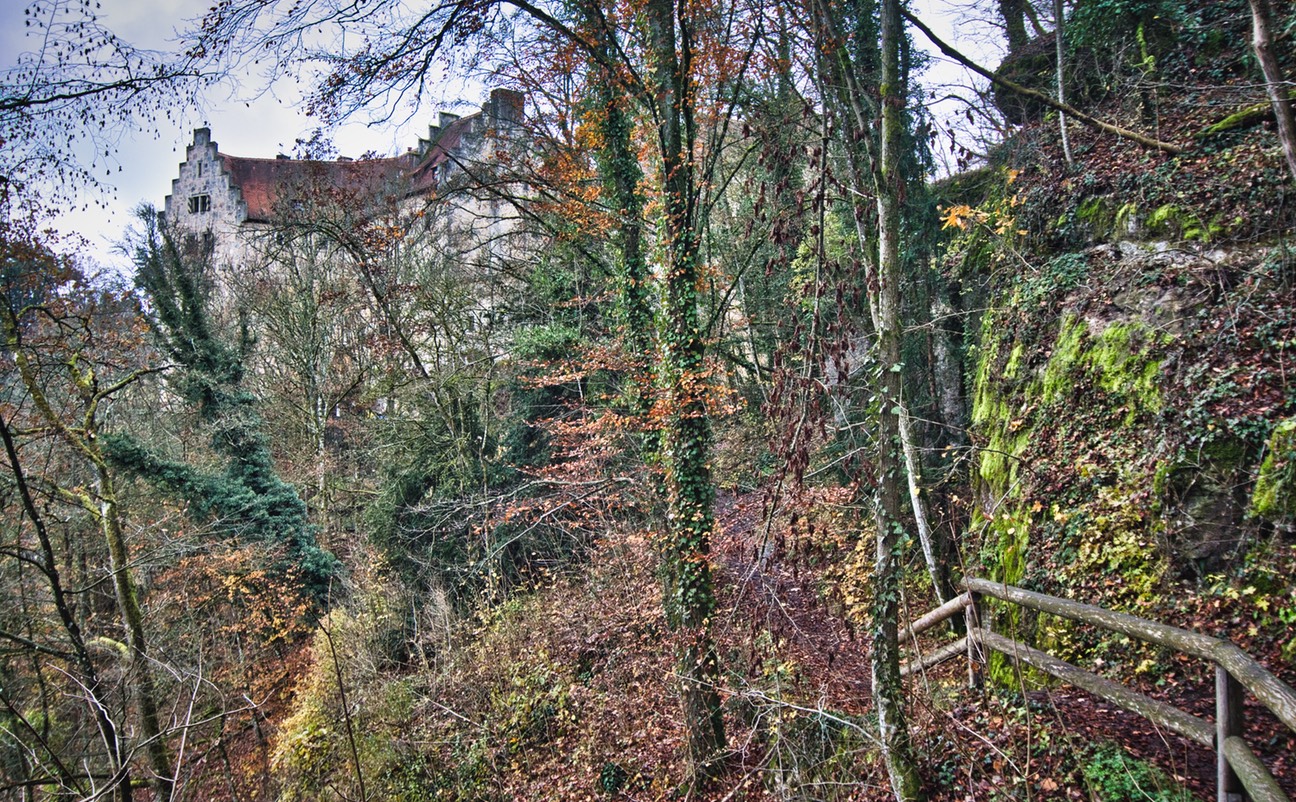_DSC4850